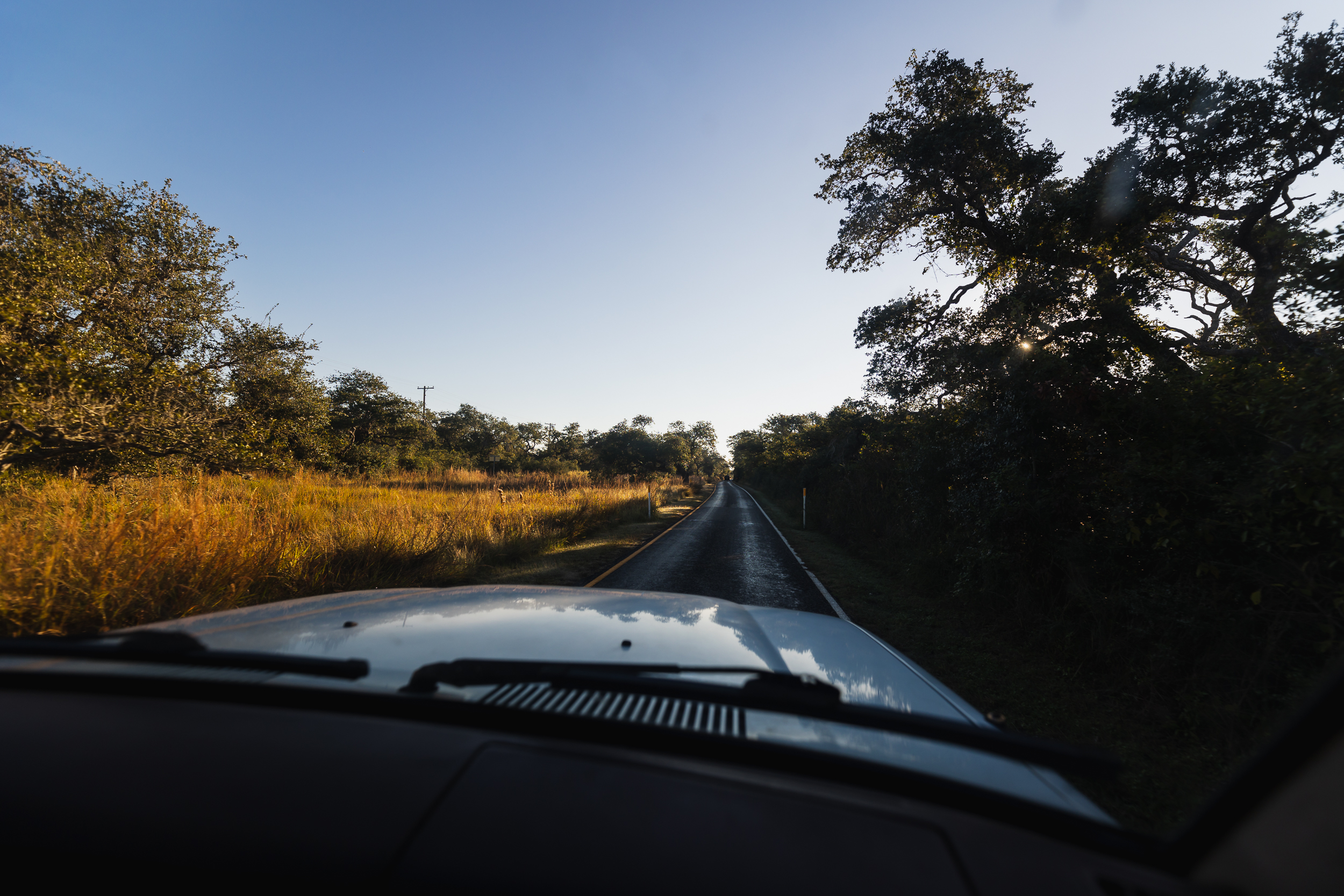 Joel_Texas_2021-711