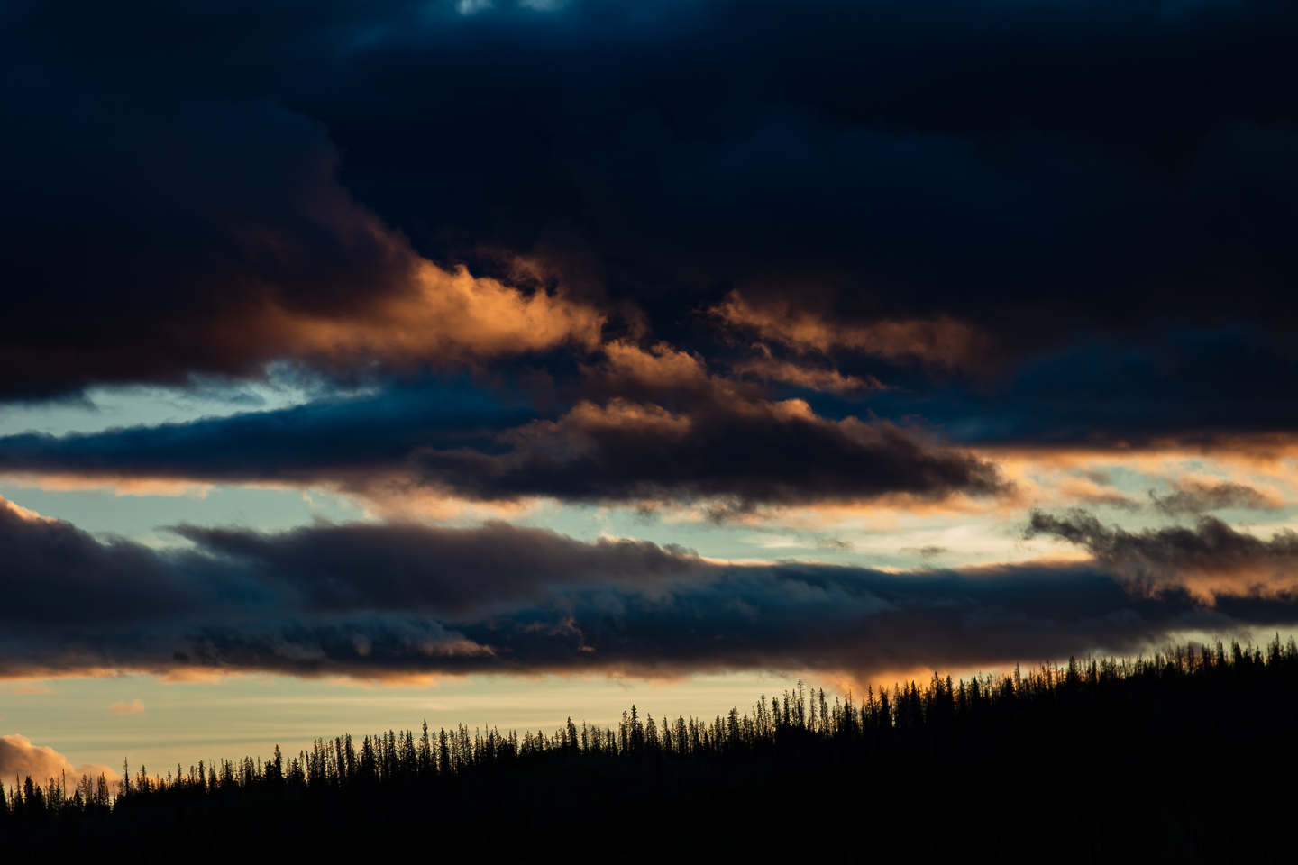 untitled-287-2